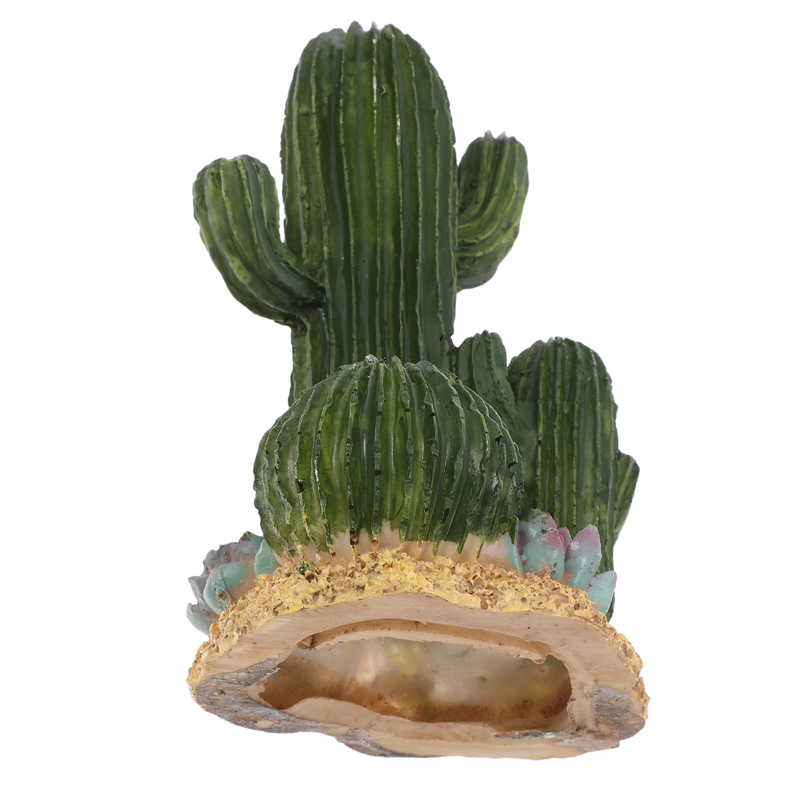 Terrarium Moss Art - Plante de cactus artificielle grande taille,