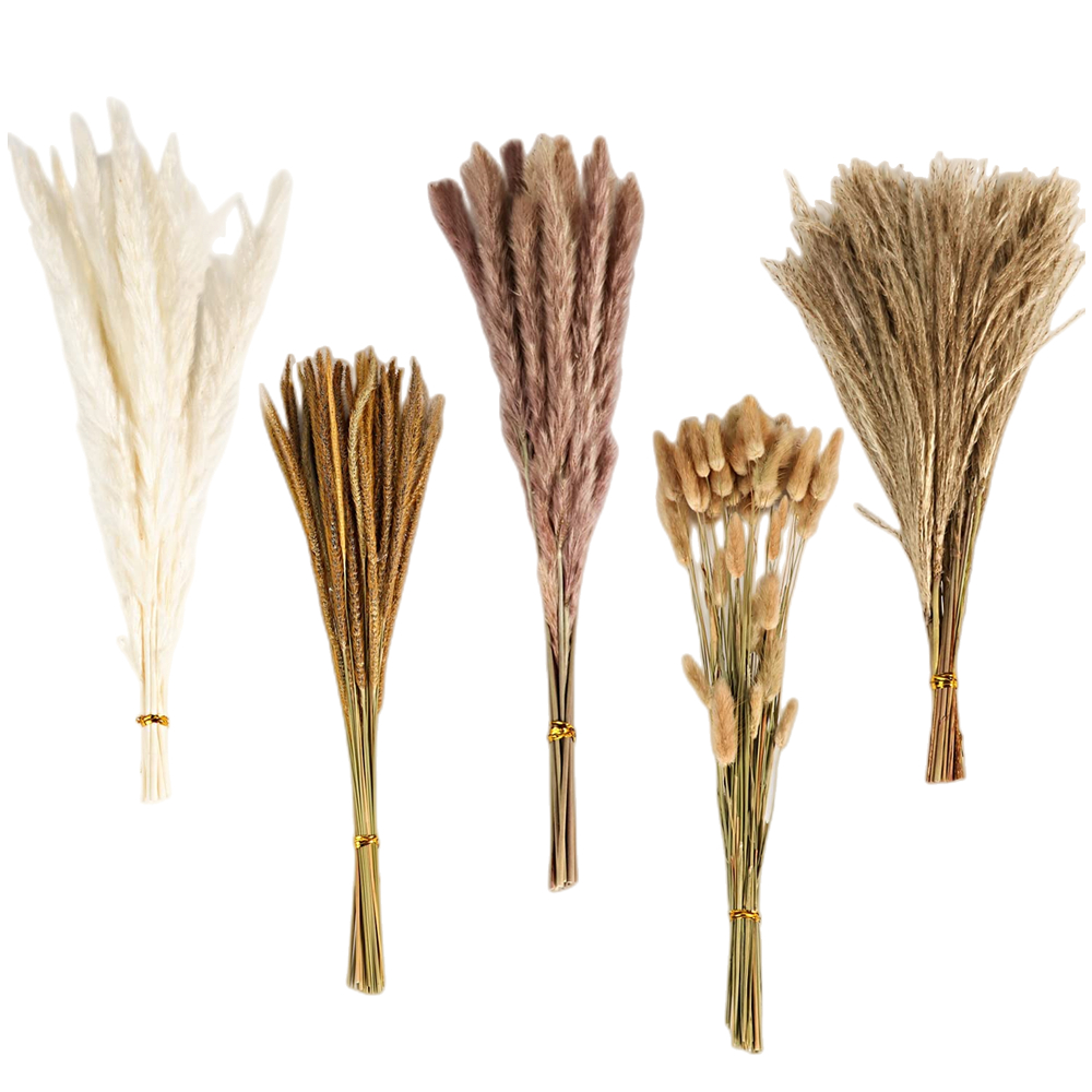 Dried Flower Bulk - Bouquet de fleurs séchées mélangées vintage