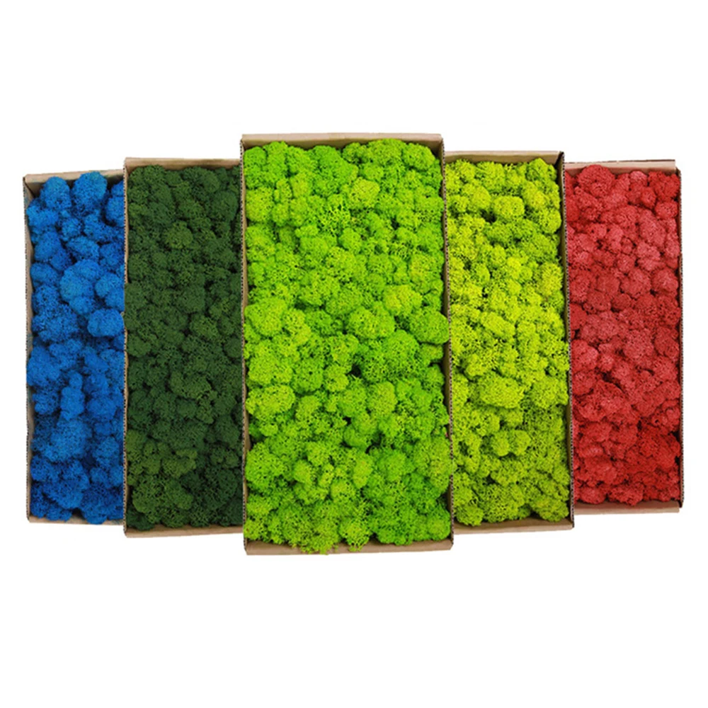 20-200g plantes vertes artific - Terrarium Moss Art avis et prix