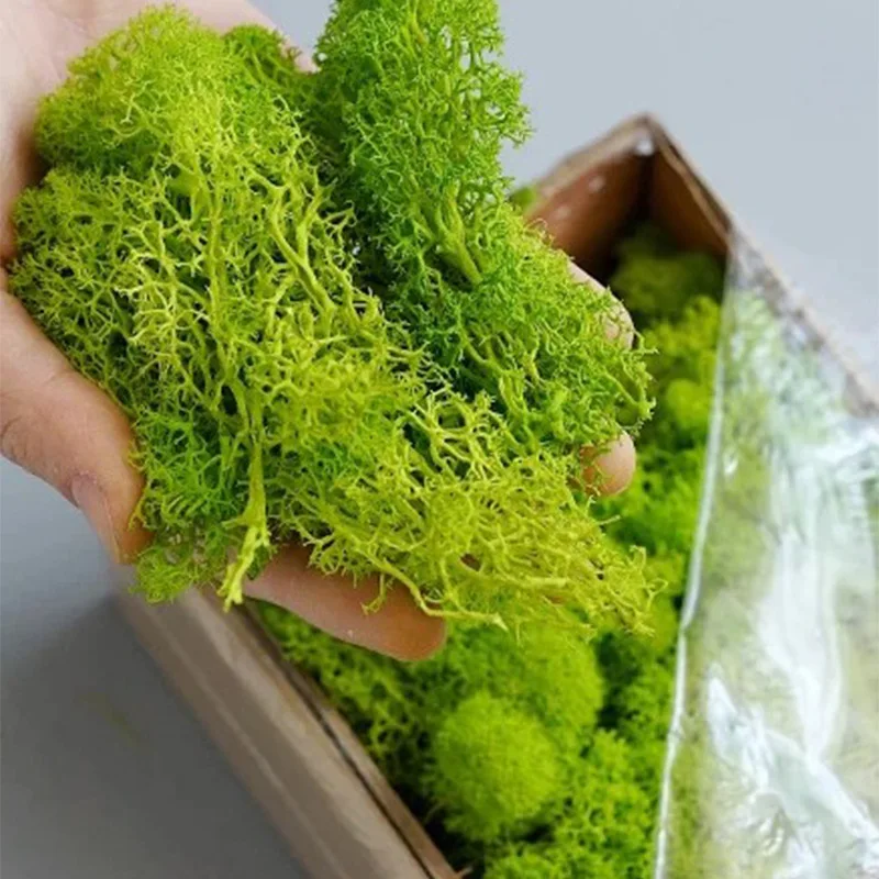 20-200g plantes vertes artific - Terrarium Moss Art avis et prix