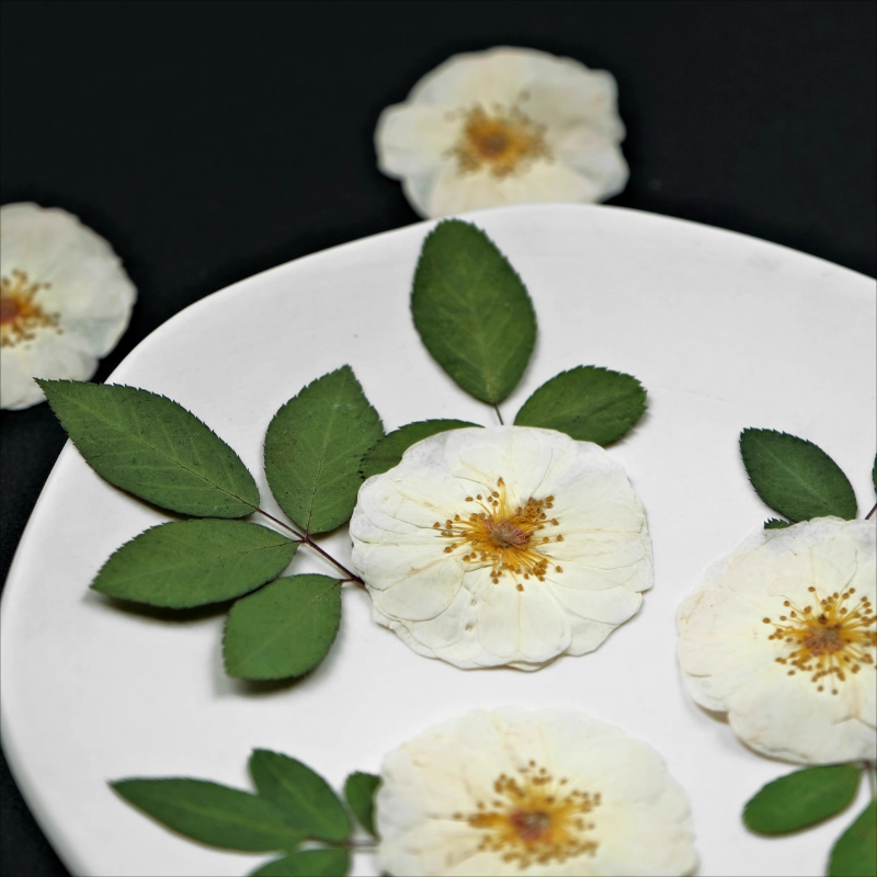 Fleurs pressées de roses blanc - Dried Flower Bulk avis et prix