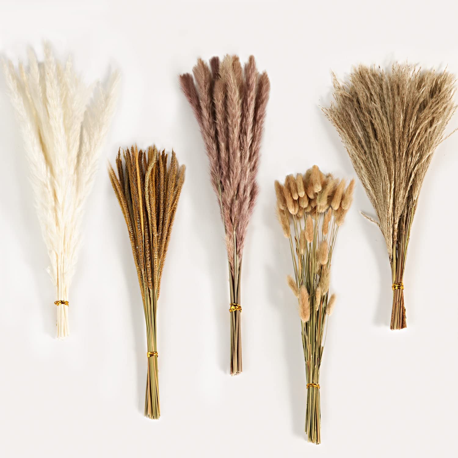 Bouquet de fleurs séchées méla - Dried Flower Bulk avis et prix