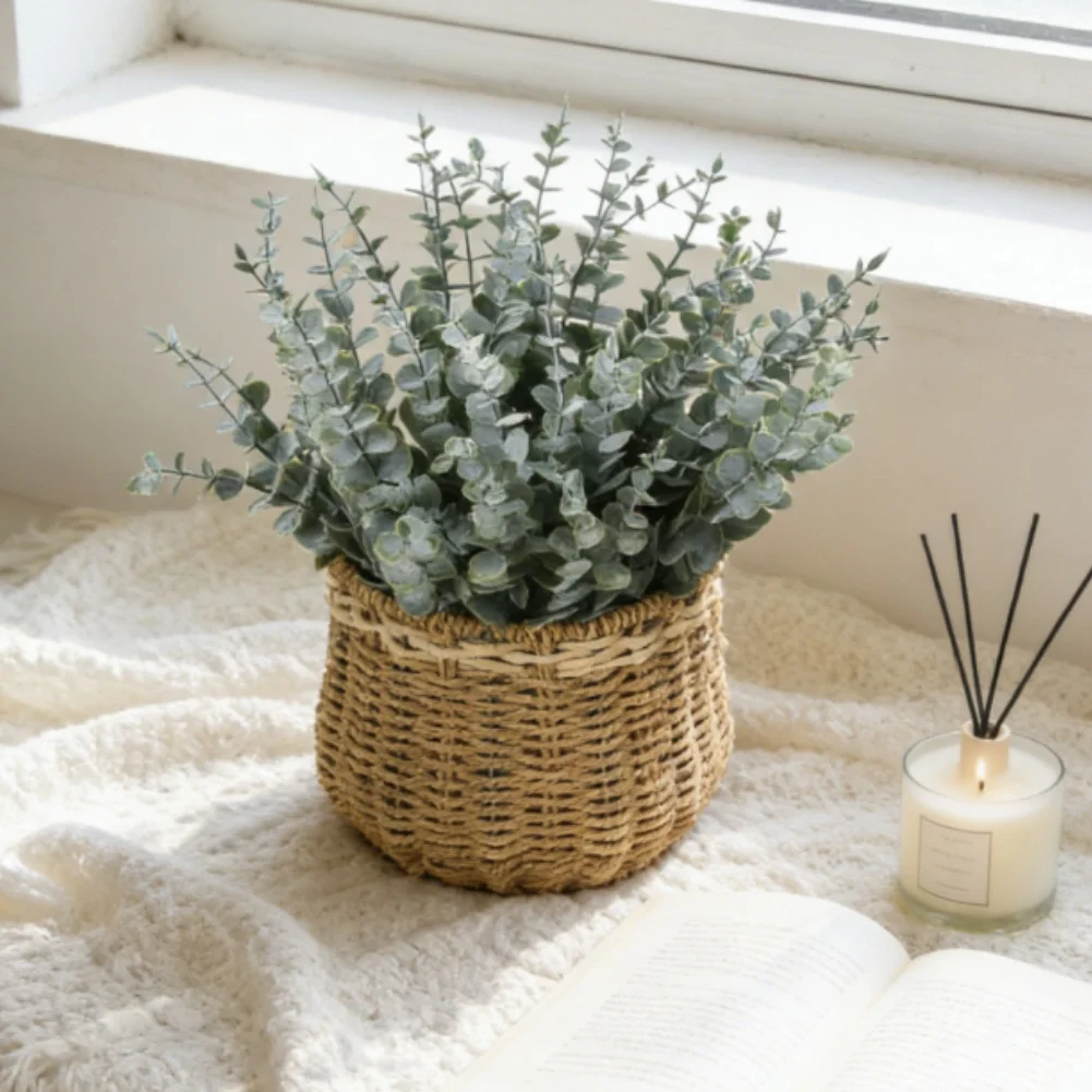 Bouquet de feuilles d'eucalypt - Terrarium Moss Art avis et prix