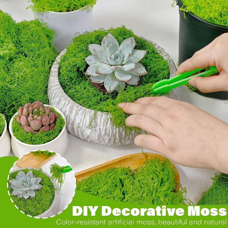 Plantes vertes artificielles,  - Terrarium Moss Art avis et prix