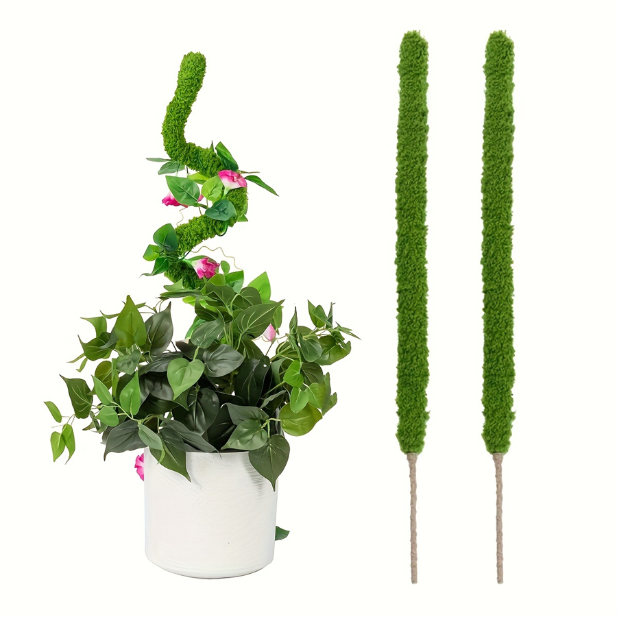 1 pièce de bâton de mousse art - Terrarium Moss Art avis et prix